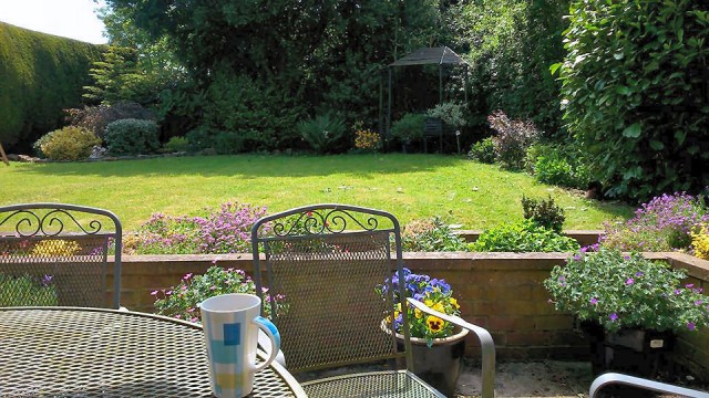 Back garden June 2016