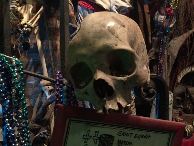 Mardi Gras Voodoo Museum skull