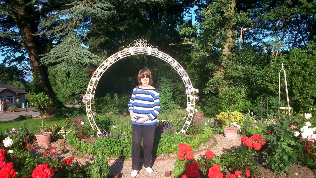 Swanwick2016arch